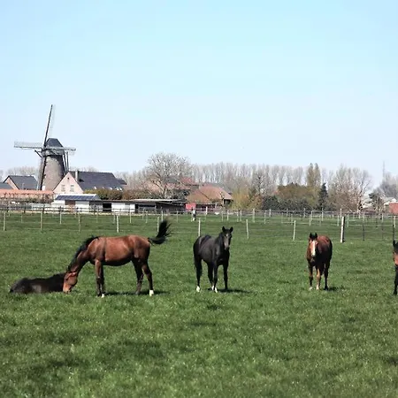 Apartmán Het Zonnetje -vakantiewoning En *
